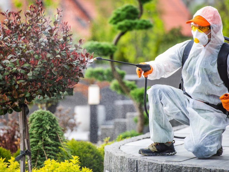 Şarköy Haşere İlaçlama